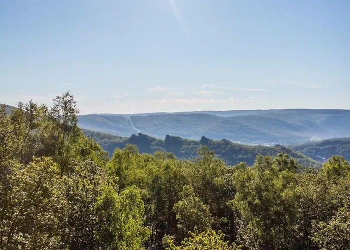 Hébergement de vacances Olivine , Chaleureuse&cocooning